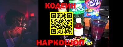индика Шелехов