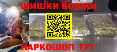 индика Шелехов