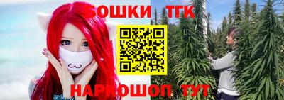 индика Шелехов