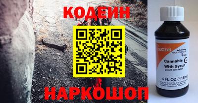 индика Шелехов