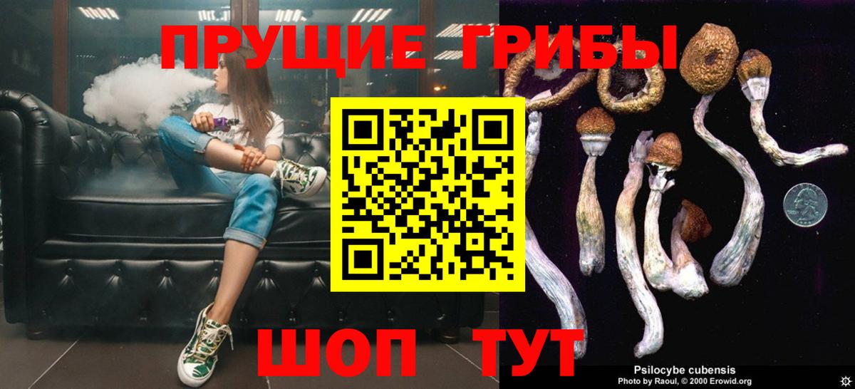 Галлюциногенные грибы мицелий  Вход с VPN  Луга 